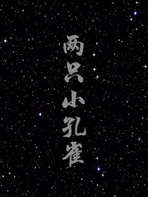 两只小孔雀