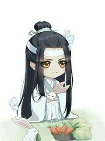 陈情令：浮梦一生