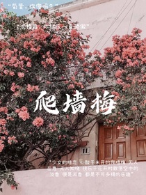 爬墙梅