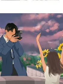只喜欢宁