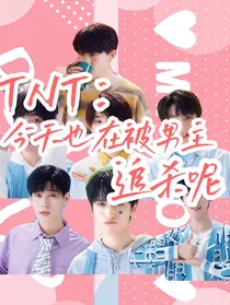 TNT：今天也在被男主追杀呢