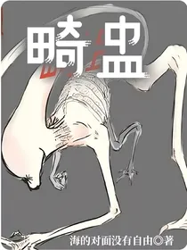 畸盅