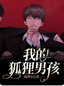 我的狐狸男孩