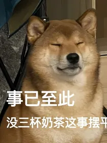 京城浮生记