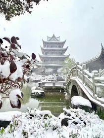 以景衬颜