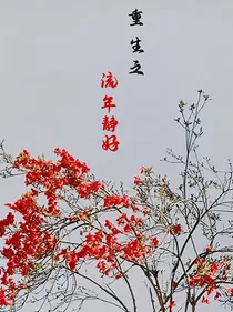 重生之流年静好