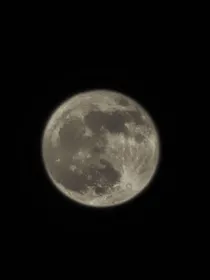 重生之白月光不干了