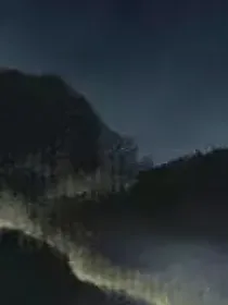 冰九：君子如竹