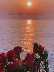杀出重围的红玫瑰
