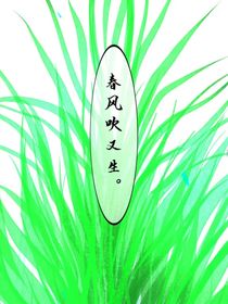 报错