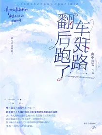 翻车后我跑路了