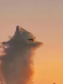 青琛