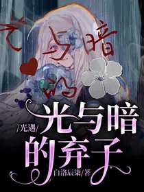 光遇：光与暗的弃子