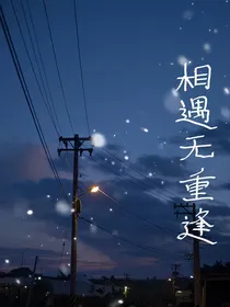 相遇无重逢-d028