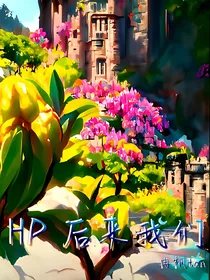 HP后来我们
