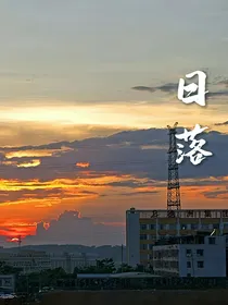 日落之花