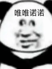 总裁，肖影帝他拒绝复婚