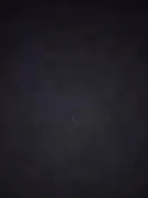 NPC：龙生九子
