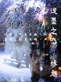 浅墨之恋——缘起
