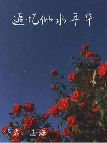 追忆似水年华……