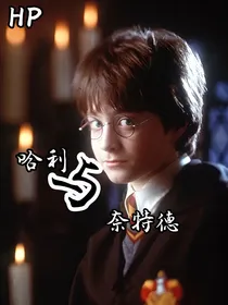 HP哈利与奈特德
