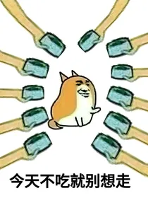全职猎人之今天的你追到老婆了吗？