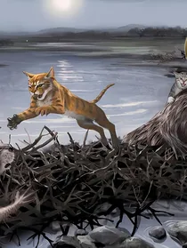 猫武士之狮焰之转世