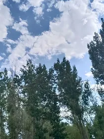 海王纪实录——司影
