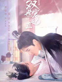 双世宠妃4，续写