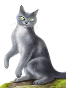 自创京剧猫八卦群