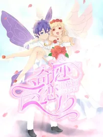 小花仙：奇迹之恋