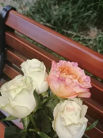 清风与我皆过客