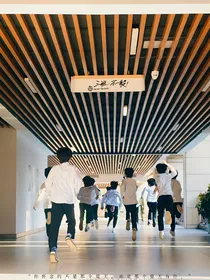 TF家族三代：只想做路人