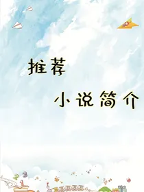 推荐小说简介