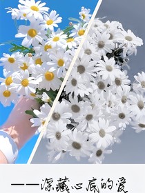 心（苏熙）