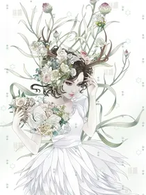 花语图鉴