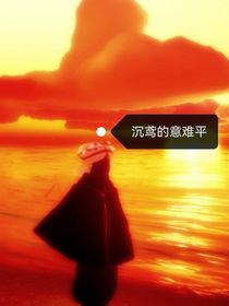 沉琳的意难平