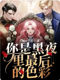 你是黑夜里最后的色彩