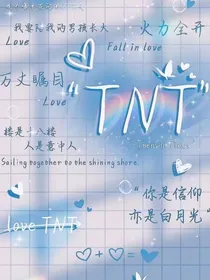 TNT：诱惑灵魂