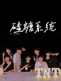 TNT：磕糖系统