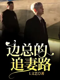 边总的追妻路