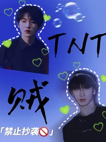 TNT：贼