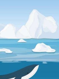 南极之旅
