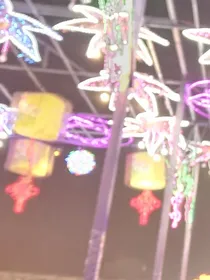 樱花的夏天