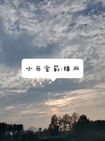 小马宝莉：隐风
