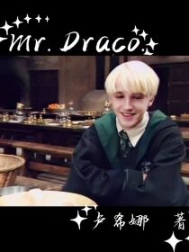 Mr，Draco