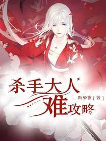 杀手大人难攻略