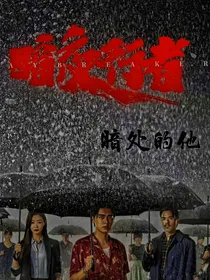 暗夜行者：暗处的他