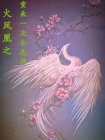 火凤凰之重来一次会怎样