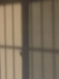 我和我的少年